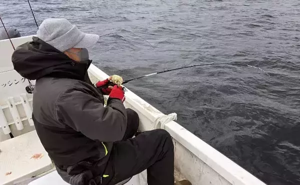「レンタルボートでのタイラバ釣行で多彩魚種顔見せ【三重】シロアマダイは不発」の画像