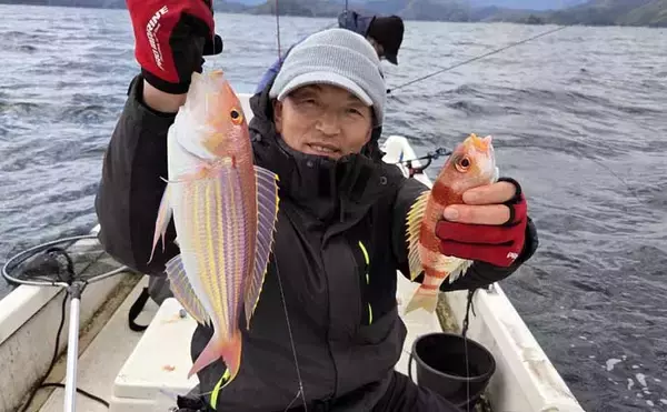 「レンタルボートでのタイラバ釣行で多彩魚種顔見せ【三重】シロアマダイは不発」の画像