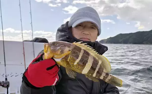 「レンタルボートでのタイラバ釣行で多彩魚種顔見せ【三重】シロアマダイは不発」の画像