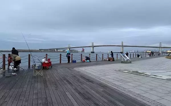 「「脂ノリノリのイワシ接岸中」サビキ釣りでマイワシが爆釣！【小名浜・福島】」の画像