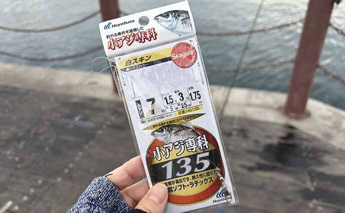 「脂ノリノリのイワシ接岸中」サビキ釣りでマイワシが爆釣！【小名浜・福島】