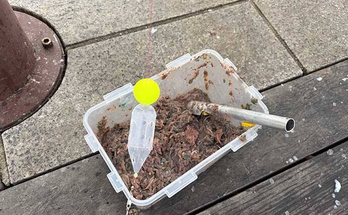 「脂ノリノリのイワシ接岸中」サビキ釣りでマイワシが爆釣！【小名浜・福島】