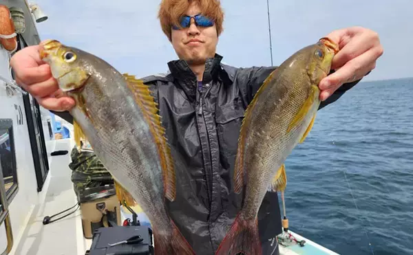 大山沖でイサキ釣りが開幕！30cm超えの良型中心に7匹手中【忠栄丸】