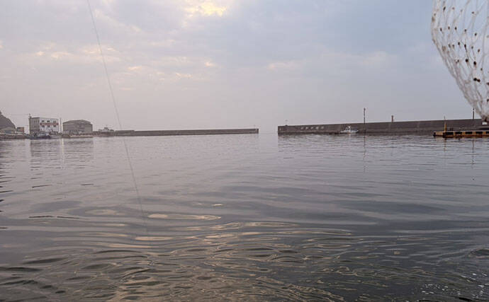 大山沖でイサキ釣りが開幕！30cm超えの良型中心に7匹手中【忠栄丸】