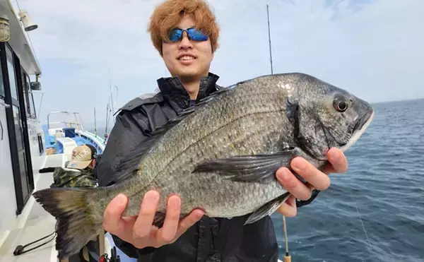 「大山沖でイサキ釣りが開幕！30cm超えの良型中心に7匹手中【忠栄丸】」の画像