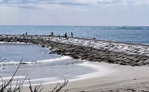 「堤防ウキ釣りでサヨリ14尾を手中【興津港・千葉】まきエサが逆効果になる場面も」の画像