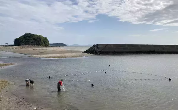「それ、実は危険です！」　潮干狩りで【やってはいけない行動】3選