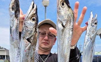 オフショアジギングでタチウオが好反応！【船のルアー釣り最新情報5選・愛知】