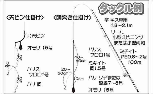「【2022年】冬の船キス釣り入門解説　タックル・釣り方・釣況を紹介」の画像