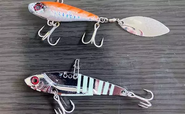 「中海での陸っぱりルアー釣りで49cmチヌ登場　メタルバイブにヒット」の画像