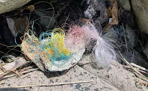 「中海での陸っぱりルアー釣りで49cmチヌ登場　メタルバイブにヒット」の画像