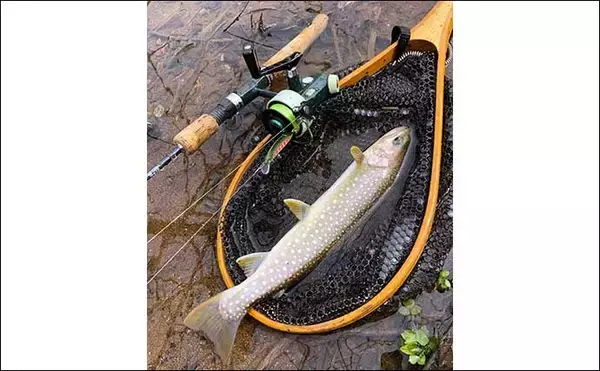 「北海道渓流ルアーマンが嗜む「釣りメシ」はドライフルーツ　熊避けの意味もアリ？」の画像
