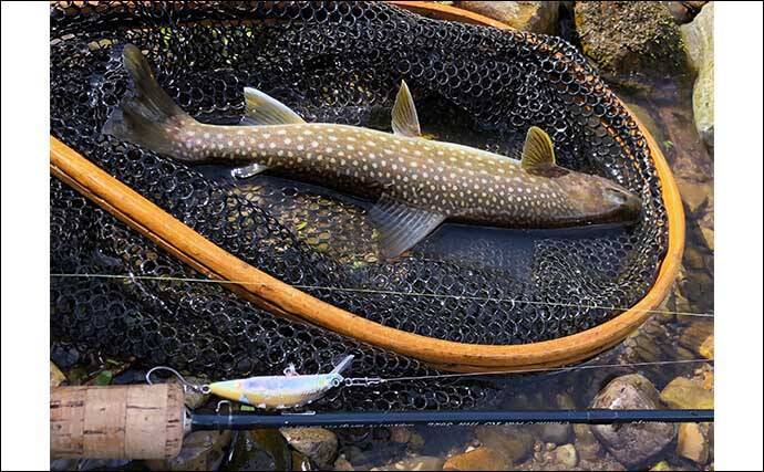 北海道渓流ルアーマンが嗜む「釣りメシ」はドライフルーツ　熊避けの意味もアリ？