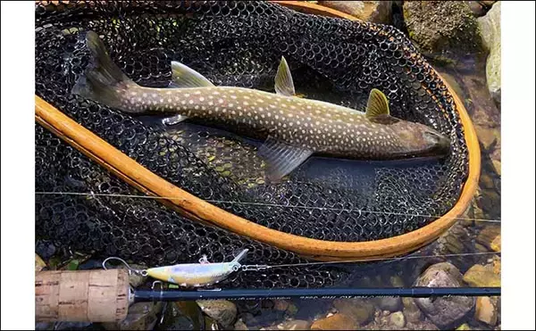 「北海道渓流ルアーマンが嗜む「釣りメシ」はドライフルーツ　熊避けの意味もアリ？」の画像