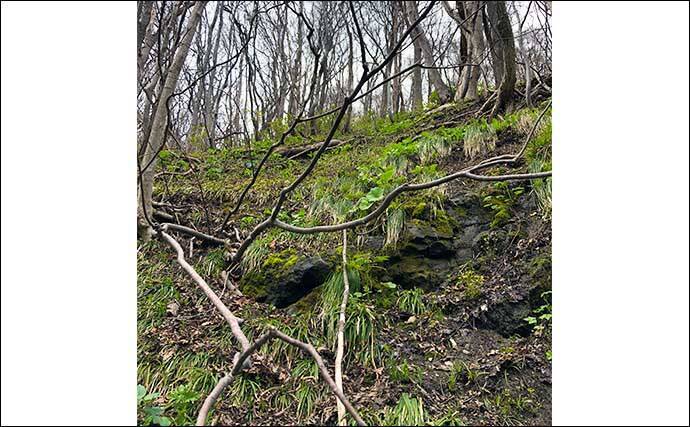 北海道渓流ルアーマンが嗜む「釣りメシ」はドライフルーツ　熊避けの意味もアリ？