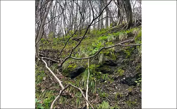 「北海道渓流ルアーマンが嗜む「釣りメシ」はドライフルーツ　熊避けの意味もアリ？」の画像