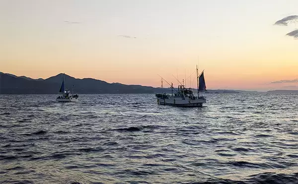 「「船上が戦場さながらに？」初めてのシマアジ釣りで本命キャッチに成功【和歌山・黒龍丸】」の画像