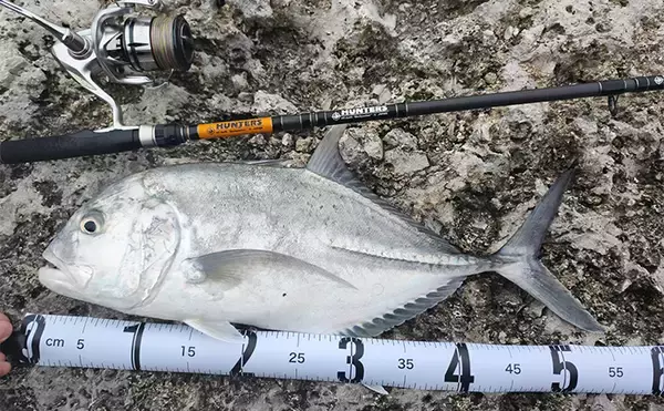 陸っぱりルアーフィッシングで人生初のGT（ロウニンアジ）をキャッチ！【沖縄】ナブラを狙い撃ち