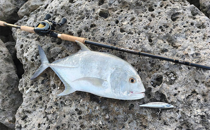 陸っぱりルアーフィッシングで人生初のGT（ロウニンアジ）をキャッチ！【沖縄】ナブラを狙い撃ち
