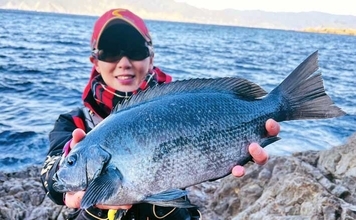 「気温は低いけど心はホカホカ！」 磯フカセ釣りで40cm超え頭に良型クロ連発