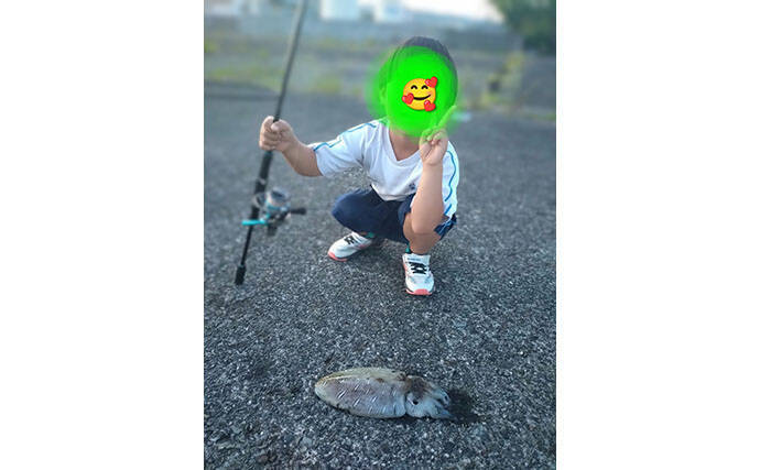 「春が来た！」不調続きのエギングでキロ超えアオリイカと大型モンゴウイカを連続キャッチ
