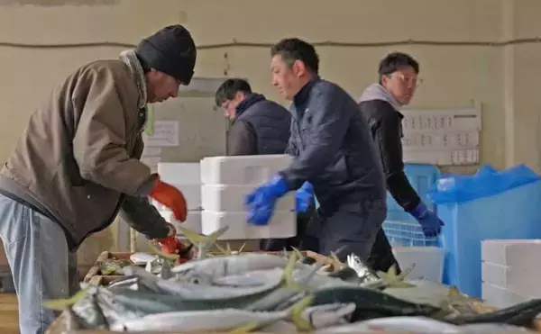「釣人憧れの対馬がもっと近くなる！ 上対馬漁協が始めた「海業」とアングラー受け入れ最前線を取材」の画像