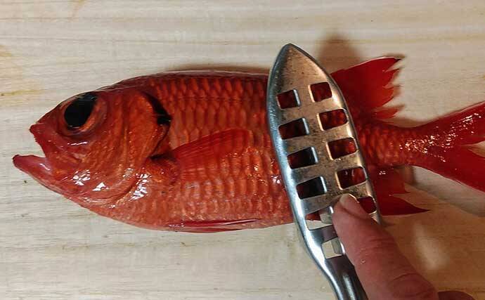 ゲスト魚レシピ マツカサ の刺身 ２列ある特殊な中骨処理にご注意 22年2月2日 エキサイトニュース