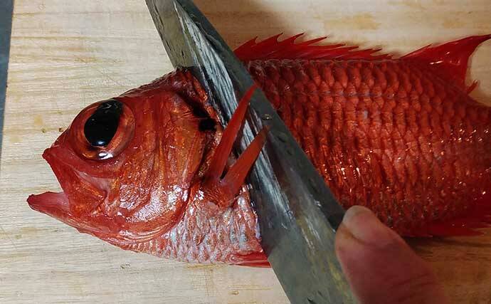 ゲスト魚レシピ マツカサ の刺身 ２列ある特殊な中骨処理にご注意 22年2月2日 エキサイトニュース