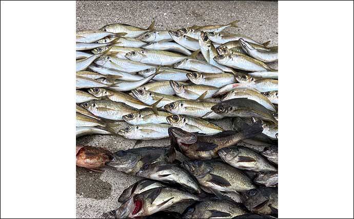 雪でも釣りに行く「釣り女」が【真冬の防寒服装&小物アイテム】を紹介