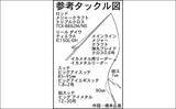 「夜釣りで3種類のイカを狙う『メタルスッテゲーム』を徹底解説」の画像5