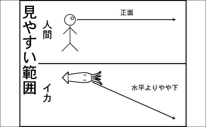 夜釣りで3種類のイカを狙う『メタルスッテゲーム』を徹底解説