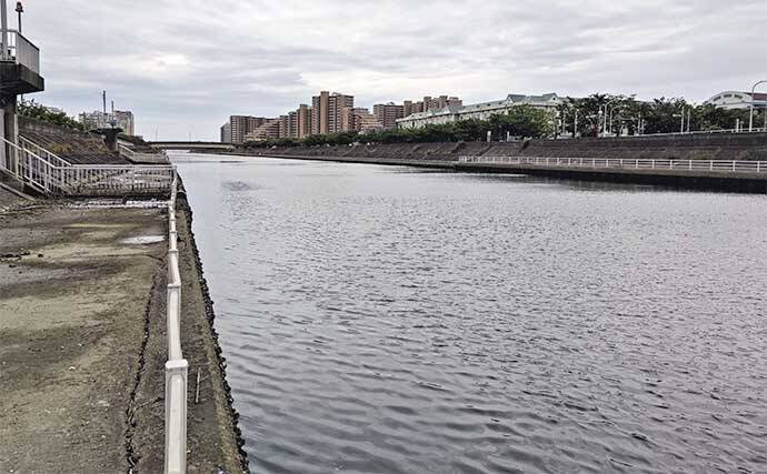 陸っぱりハゼ釣りで42尾キャッチ【千葉・浦安】ミャク釣りで挑戦