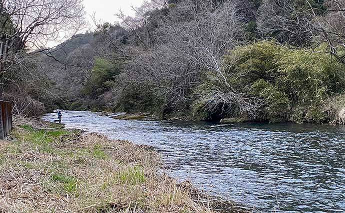 八溝川でのヤマメ釣りで20cm級本命20尾【茨城】強めの瀬の脇が狙い目