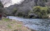 「八溝川でのヤマメ釣りで20cm級本命20尾【茨城】強めの瀬の脇が狙い目」の画像3
