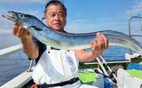 「「ドラゴン級も登場！」走水沖のテンビンタチウオ釣りで船中トップ52尾【神奈川】」の画像1
