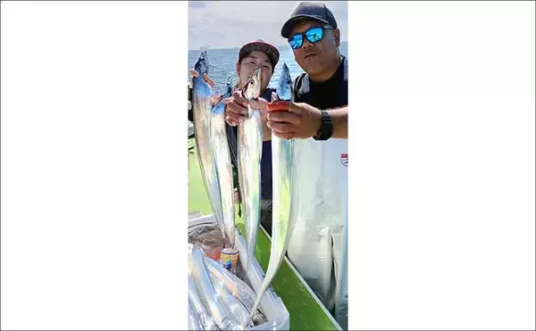 「「ドラゴン級も登場！」走水沖のテンビンタチウオ釣りで船中トップ52尾【神奈川】」の画像