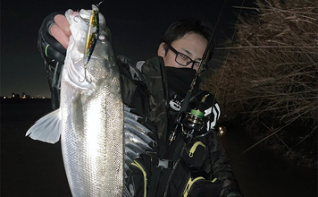冬の河川でもシーバスは釣れる！ 【狙うべきポイント・条件・注意点を解説】