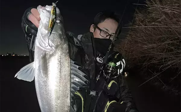 冬の河川でもシーバスは釣れる！ 【狙うべきポイント・条件・注意点を解説】
