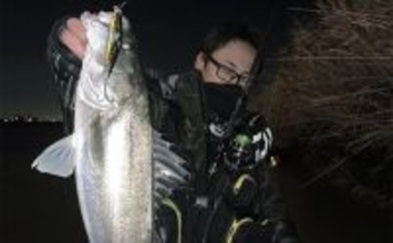 冬の河川でもシーバスは釣れる！ 【狙うべきポイント・条件・注意点を解説】