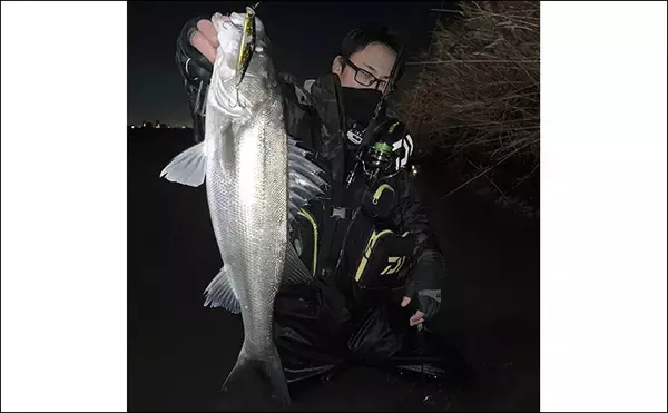 「冬の河川でもシーバスは釣れる！ 【狙うべきポイント・条件・注意点を解説】」の画像