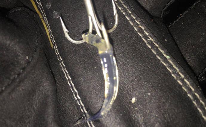 冬の河川でもシーバスは釣れる！ 【狙うべきポイント・条件・注意点を解説】