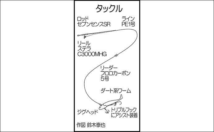 志賀島の陸っぱりワインドゲームでタチウオ連発の6尾達成【福岡】朝マズメの短い時合いに炸裂