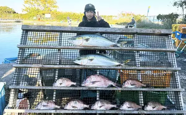 「【海上釣り堀釣果速報】少年がワラサ2匹＆大ダイを堂々キャッチ！マダイ7匹も加わり豪華釣果（愛知・三重）」の画像