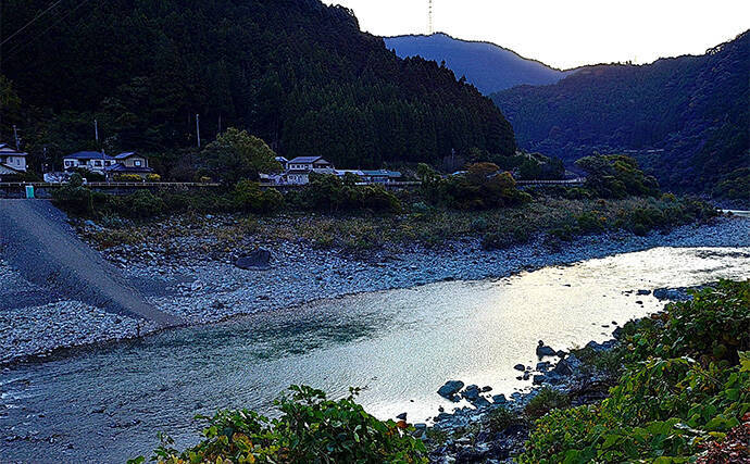 天竜川ルアーフライテンカラ専用区のルアー釣りで57cm超え含む大型ニジマス連発！【静岡】