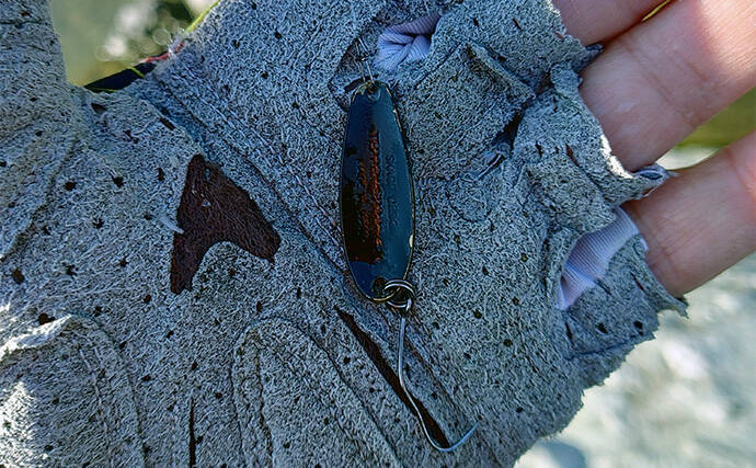 天竜川ルアーフライテンカラ専用区のルアー釣りで57cm超え含む大型ニジマス連発！【静岡】