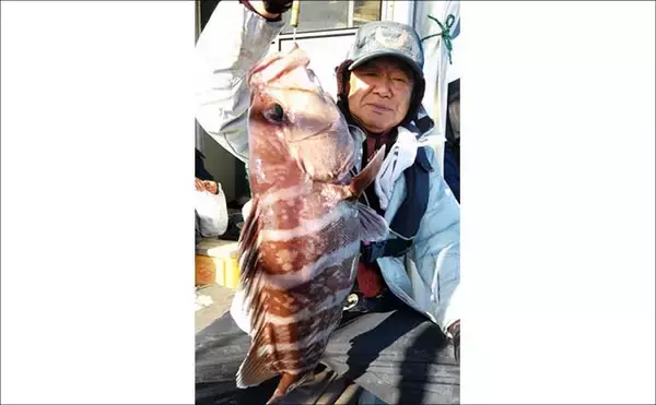 「【沖釣り釣果速報】玄界灘の沖五目釣りで良型アオナヒット　根魚・高級魚そろって好土産（福岡）」の画像