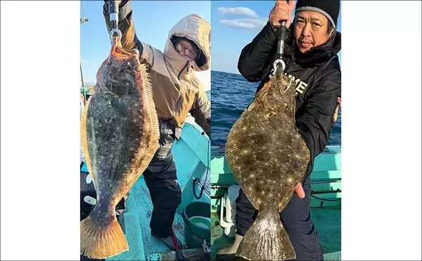 「【沖釣り釣果速報】玄界灘の沖五目釣りで良型アオナヒット　根魚・高級魚そろって好土産（福岡）」の画像