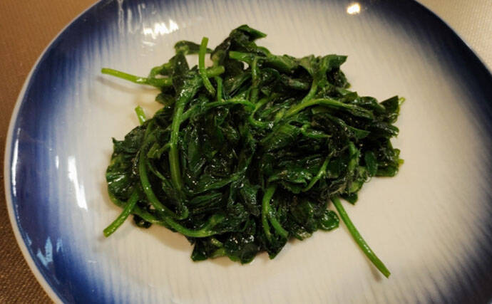 「その雑草、実は食べられるかも？」 渓流釣りと相性が良い野草採りのススメ