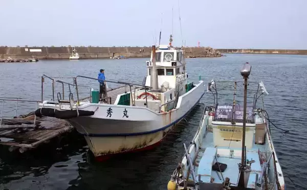 「「これからがシーズン本番！」鳥羽沖タイラバ釣行でマダイ好捕【フィッシュハンター・三重】」の画像