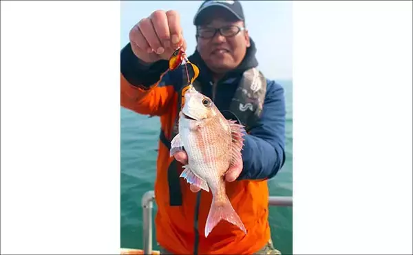 「「これからがシーズン本番！」鳥羽沖タイラバ釣行でマダイ好捕【フィッシュハンター・三重】」の画像